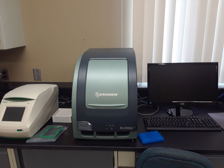 Multiplex quantitative PCR