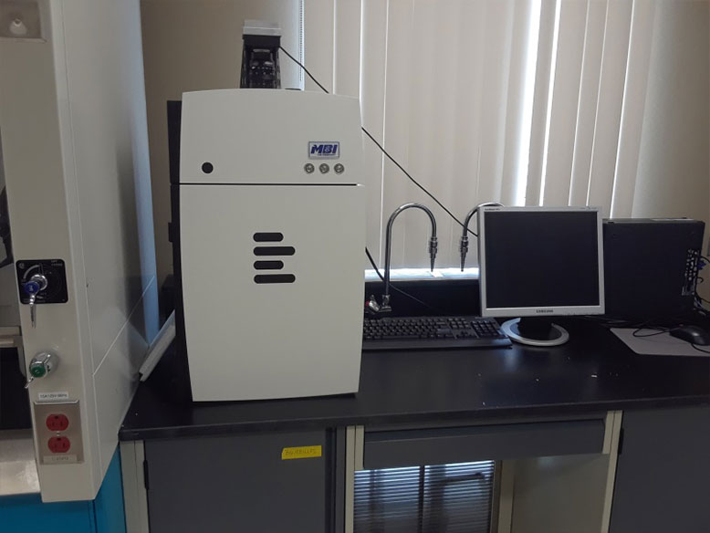 Multiplex quantitative PCR2